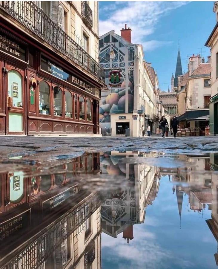 Charmante Maison Climatisee Avec Son Jardin A 5 Minutes De Dijon Saint-Apollinaire  외부 사진